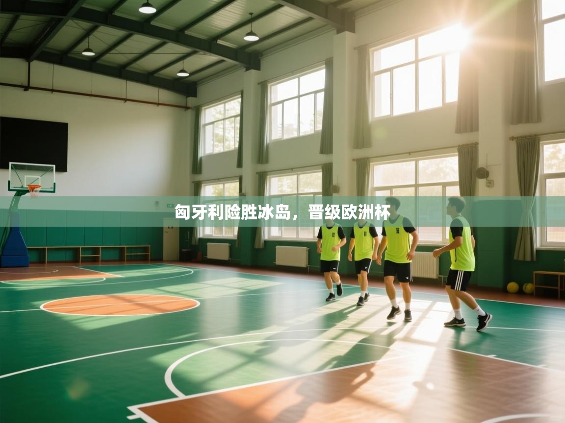 匈牙利险胜冰岛，晋级欧洲杯  第1张