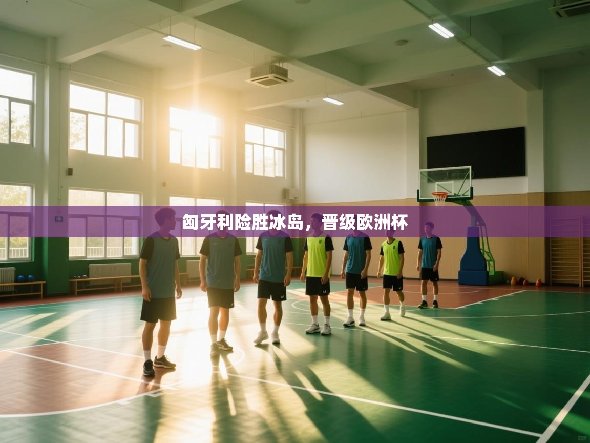 匈牙利险胜冰岛，晋级欧洲杯  第2张