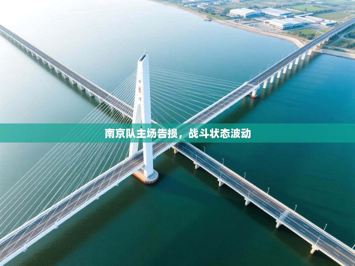 南京队主场告损，战斗状态波动  第2张