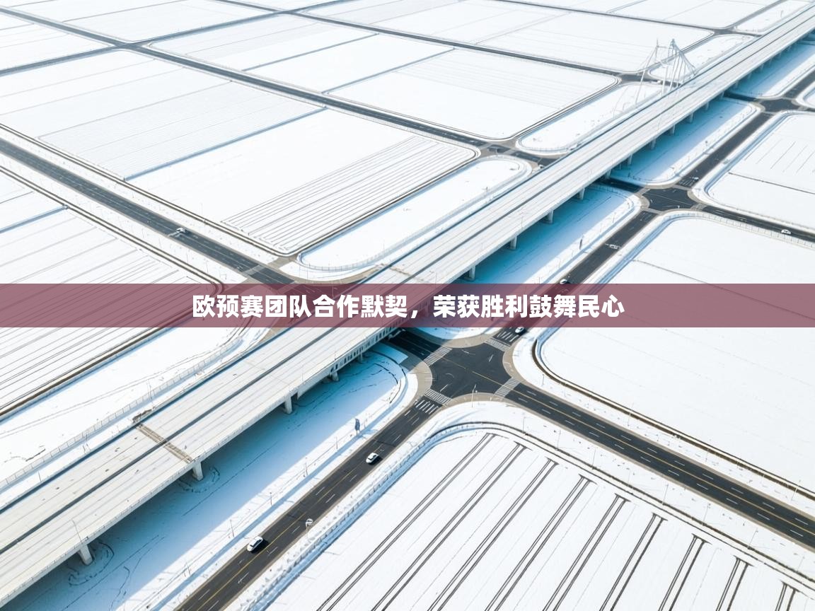 欧预赛团队合作默契，荣获胜利鼓舞民心  第1张