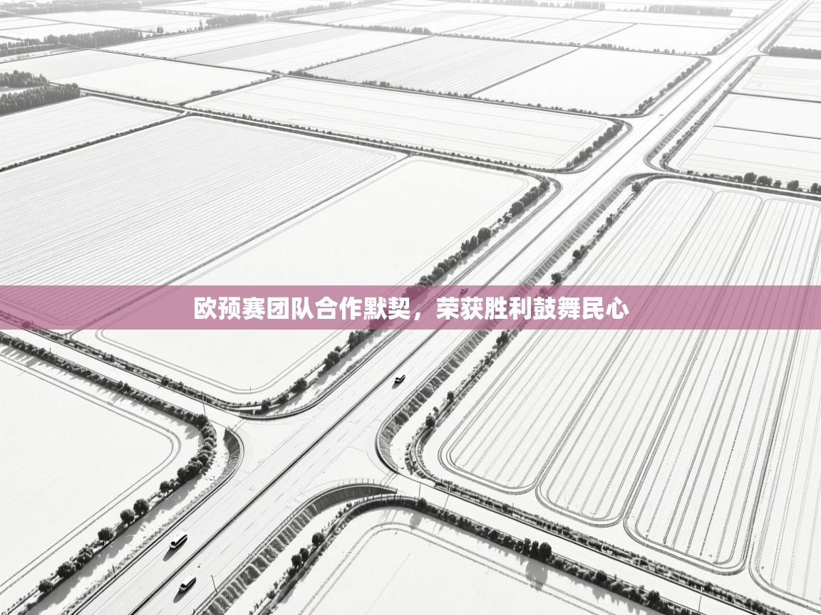 欧预赛团队合作默契，荣获胜利鼓舞民心  第2张