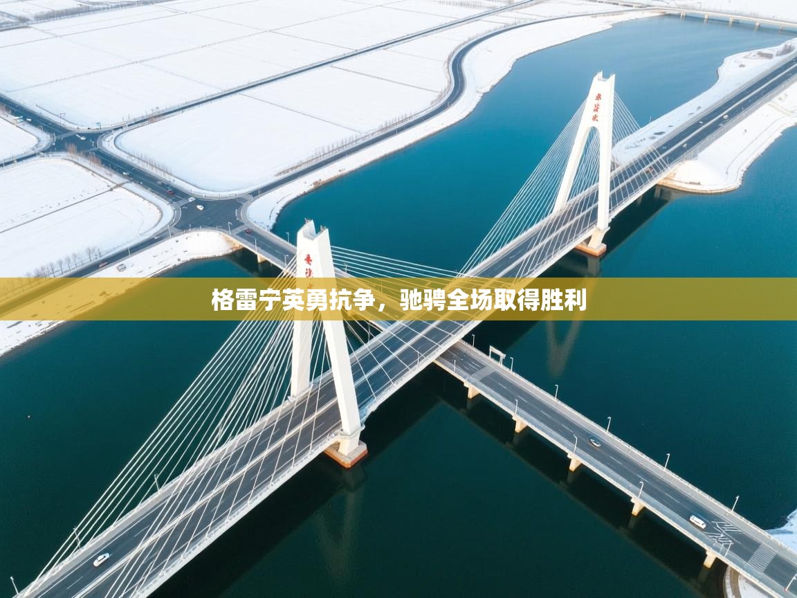 格雷宁英勇抗争，驰骋全场取得胜利  第1张