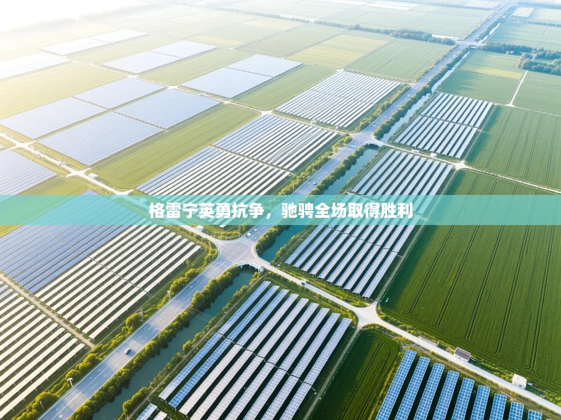 格雷宁英勇抗争，驰骋全场取得胜利  第2张