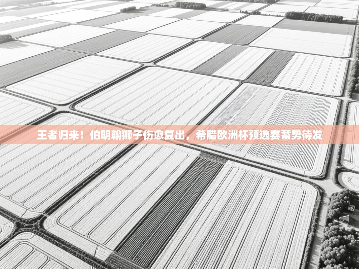 王者归来!伯明翰狮子伤愈复出,希腊欧洲杯预选赛蓄势待发 第2张